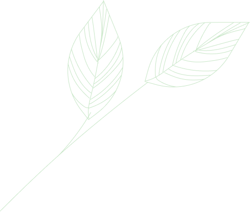 Leaf Theme